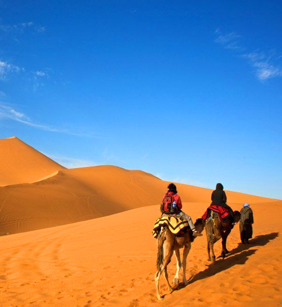 12 Days Tour To Morocco Grand Tour Imperial Cities And Sahara Desert From Casablanca