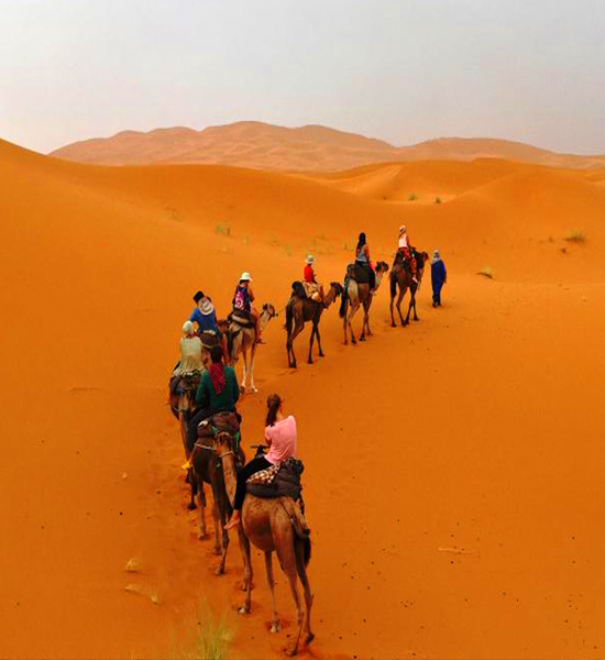 3 Days Tour To Fes Desert Trip Via Merzouga, Camel Trek From Marrakech