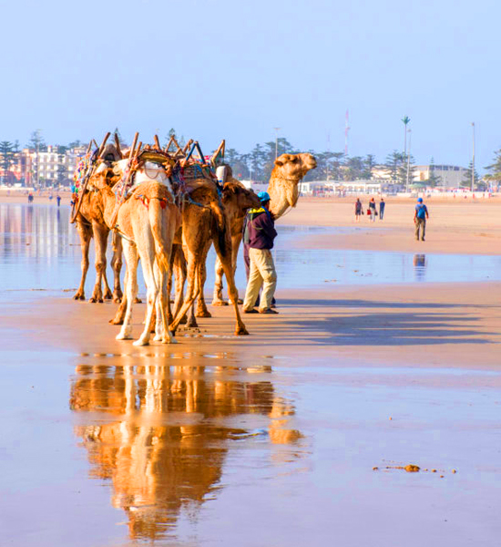 8 Days Tour To Essaouira Via Atlantic Coast & Sahara Desert Trip From Marrakech