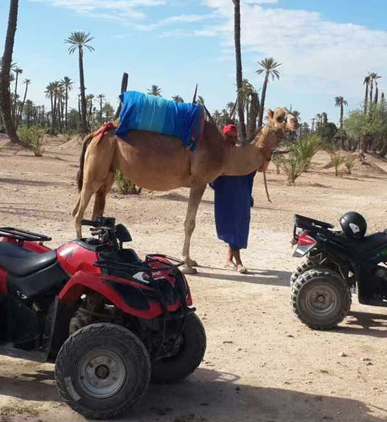 Full-day combo camel & quad bike trip around marrakech