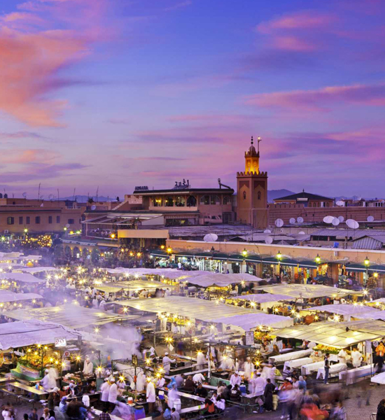 Full-day marrakech guided city tour to discover the medina in marrakech