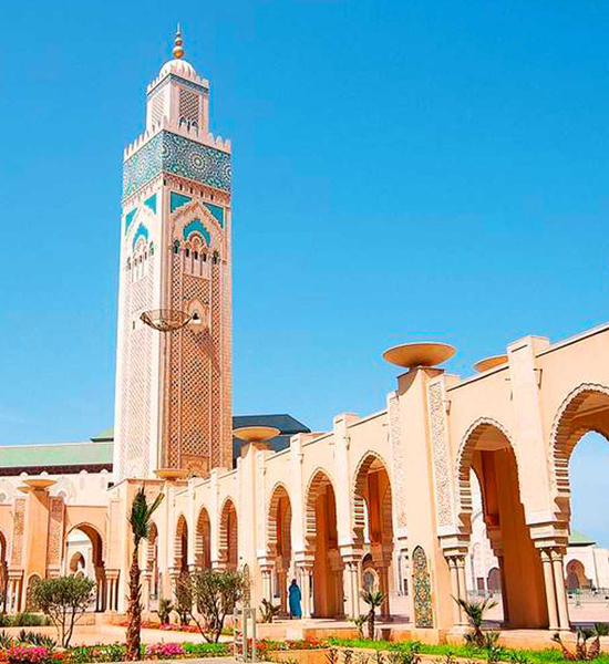 Full-Day Trip To City Of Casablanca Sightseeing From Casablanca