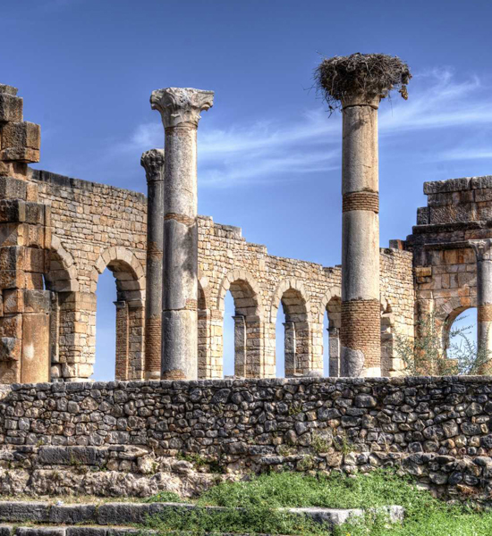 Full-Day Trip To Explore Meknes And Volubilis From Fes