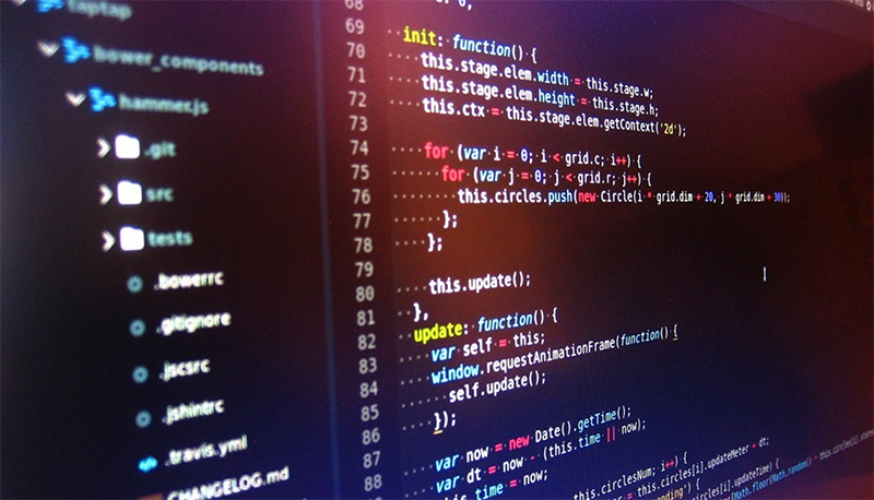 Reasons why every programmer need to learn JavaScript