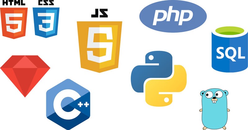 Common web development languages